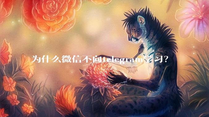 为什么微信不向telegram学习？