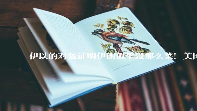 伊以的对轰证明伊朗似乎没那么菜！美国会下场吗？