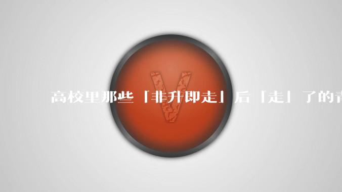 高校里那些「非升即走」后「走」了的青年教师都怎么样了？
